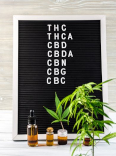 Understanding all the CBD Terms can be challenging, this can help - Zaza Zenn Store