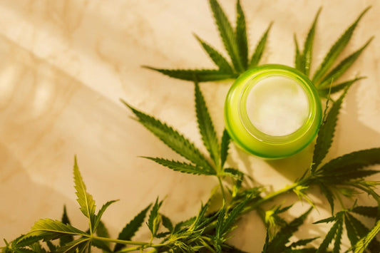 What do CBD Lotions do for you? - Zaza Zenn Store