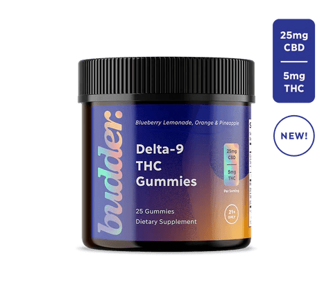 Budder 5mg Delta 9 THC Gummies (Assorted) - Zaza Zenn Store - Budders