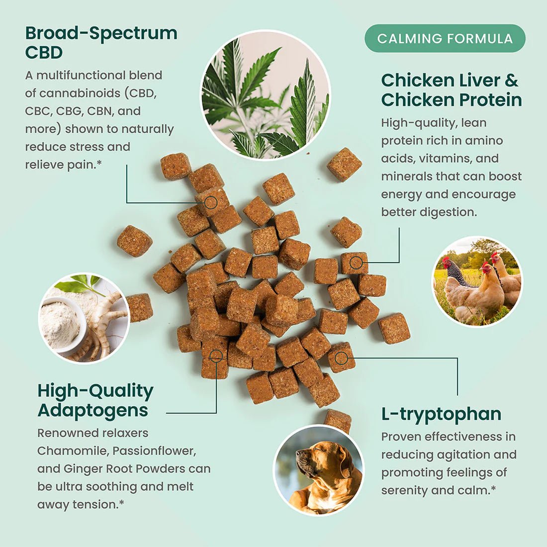 Calming Dog Treats - ingredient-chart-Zaza Zenn Store - R&R CBD