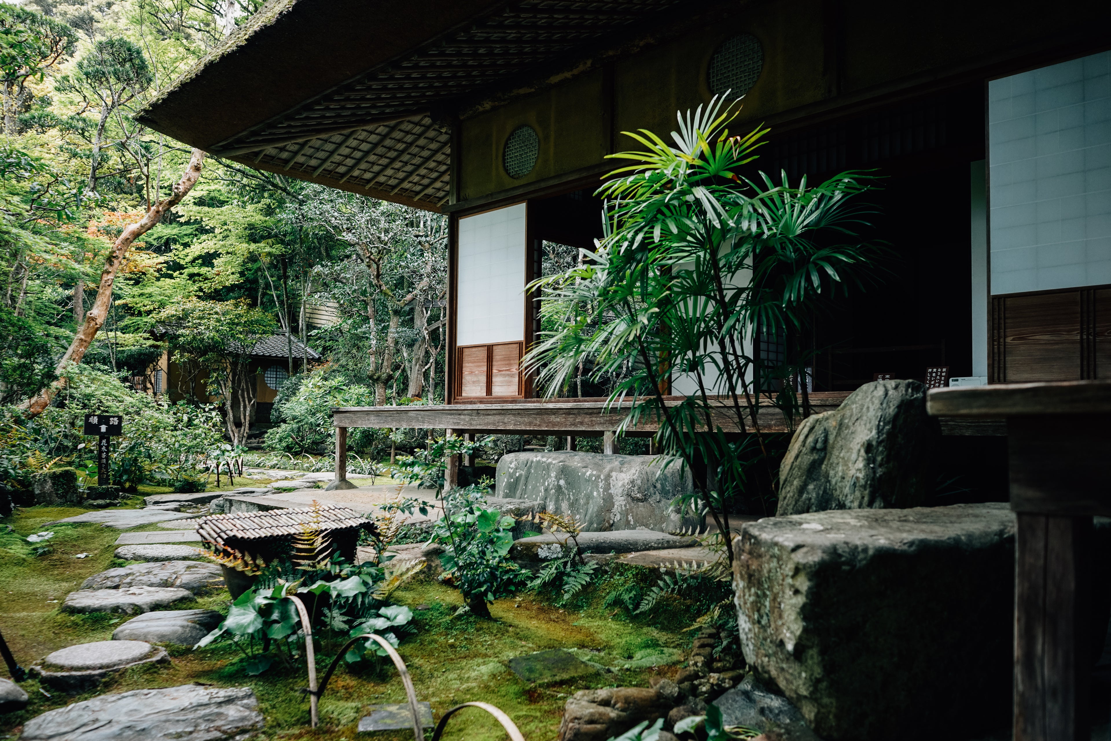 Zen garden and home - CBD plants all around