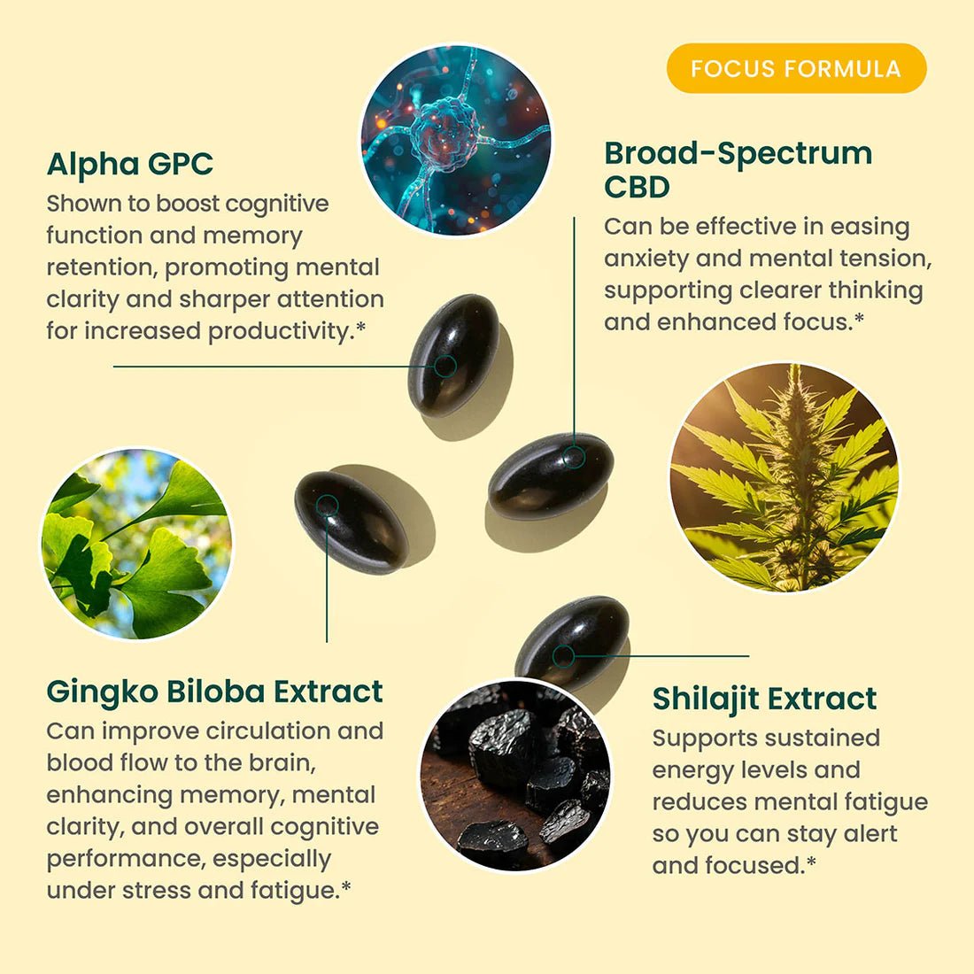 R&R CBD Focus Softgels - THC Free - 90 ct. - Zaza Zenn Store - R&R CBD